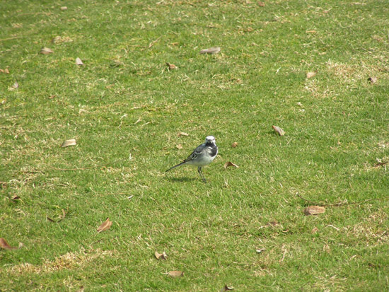 Israel trip 073