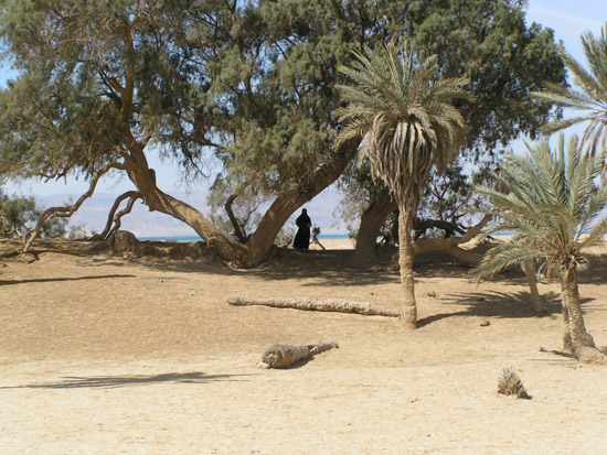 Israel trip 119