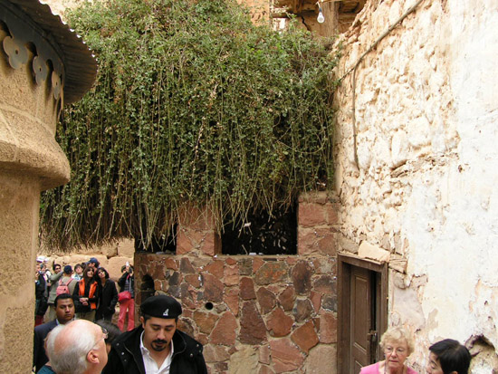 Israel trip 137