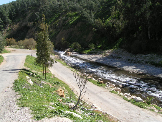 Israel trip 208