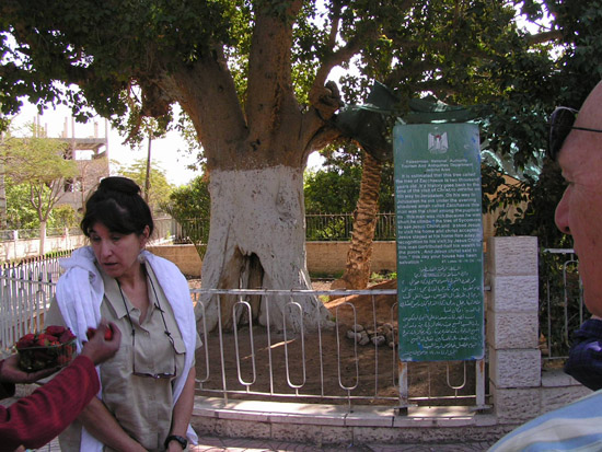 Israel trip 238