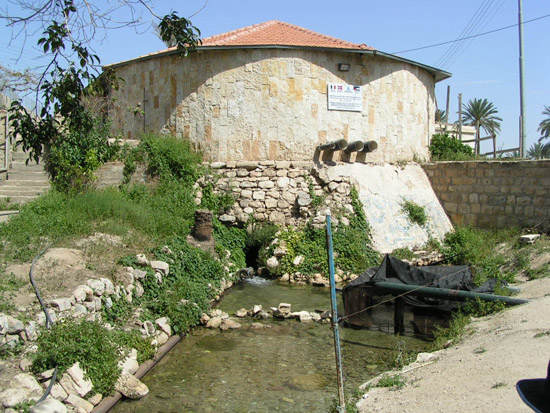 Israel trip 240