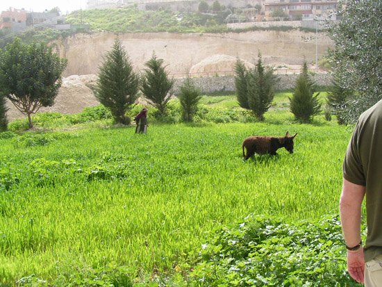 Israel trip 258